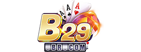 B29