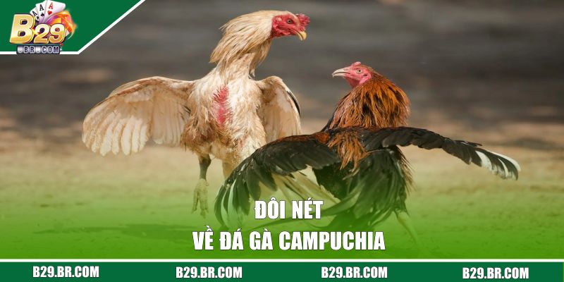 Đá Gà Campuchia - Đặt Cược Đơn Giản, Nhận Thưởng Dễ Dàng 1 Đôi nét về đá gà Campuchia
